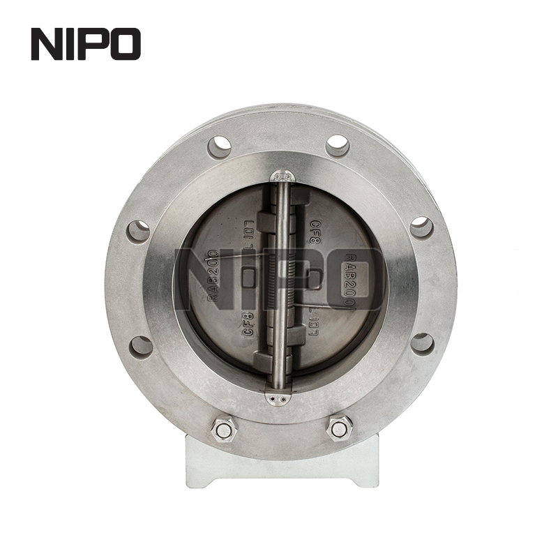 Double Flanged Type Double Disc Swing Check Valve (Api)