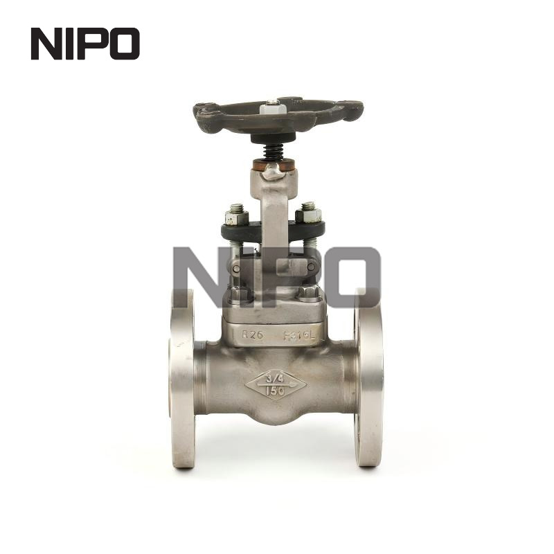 Industrial Gate Valve Installation